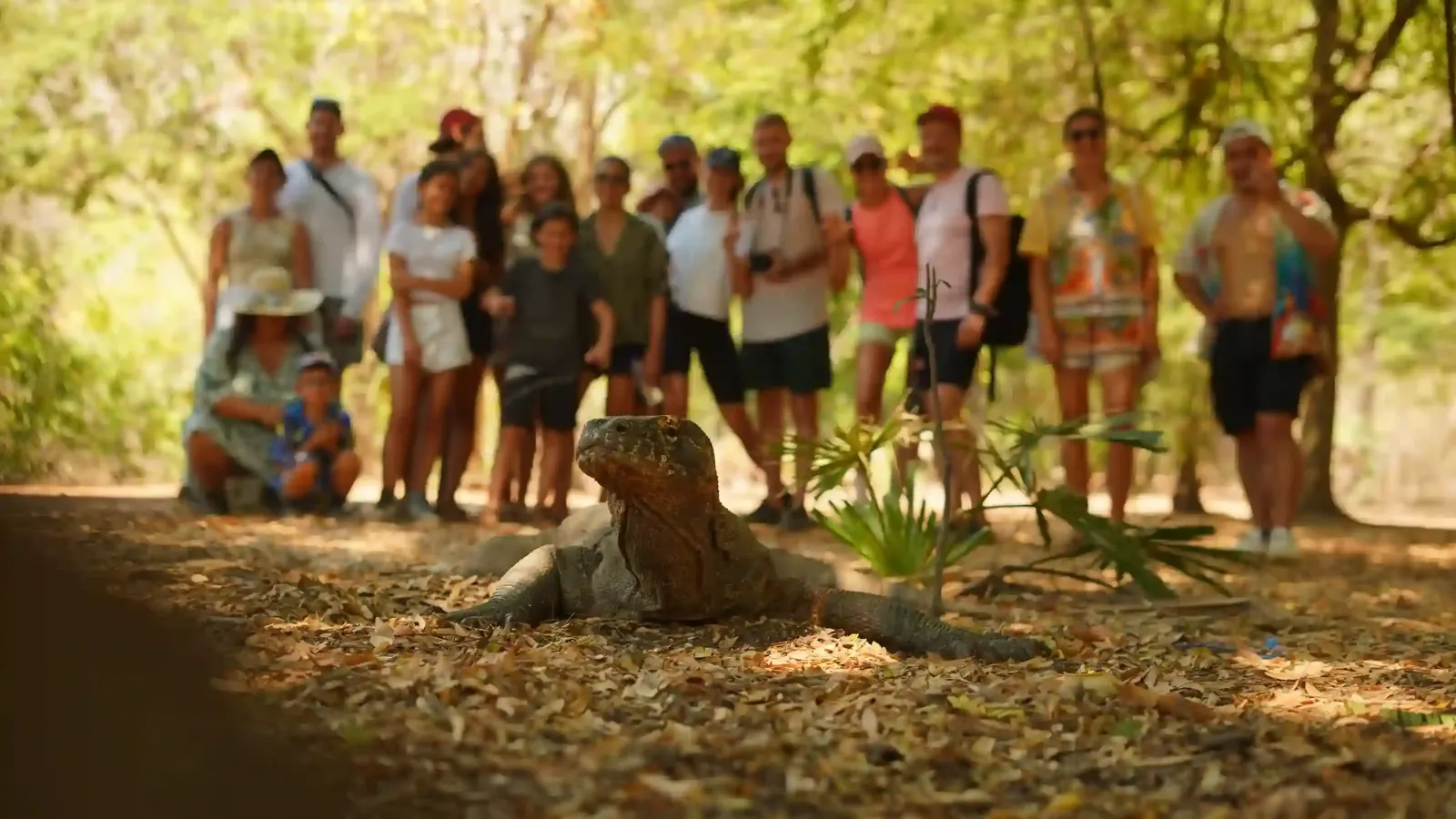 Travellers with a ranger and a Komodo dragon on Rinca
