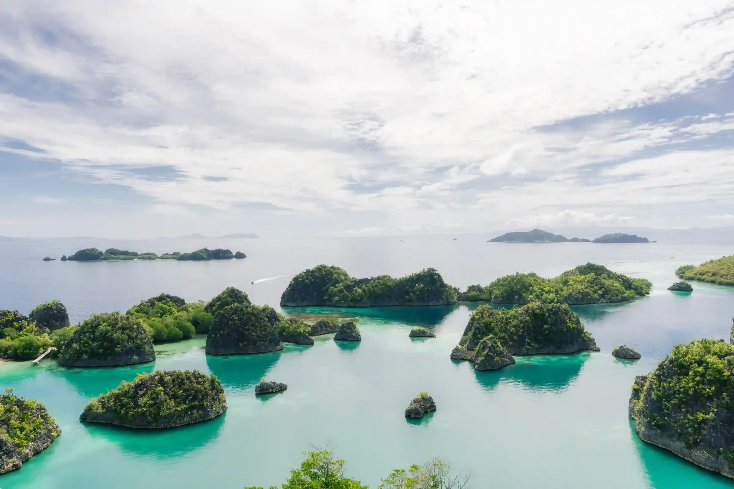 Karst islands and turquoise lagoons seen from the Piaynemo viewpoint, Raja Ampat