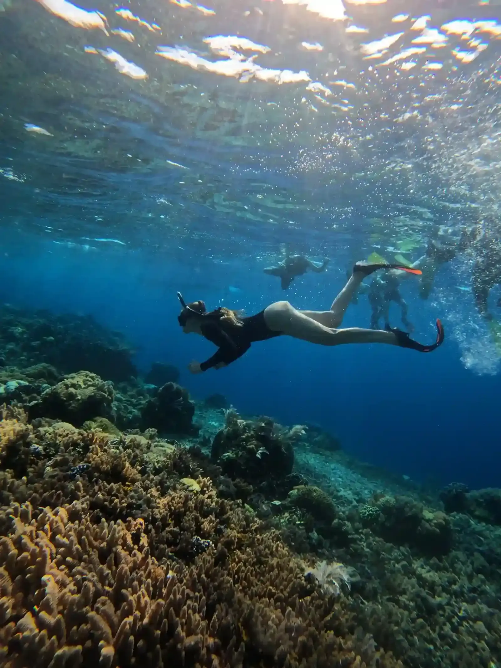 A snorkeller diving down over a Raja Ampat reef