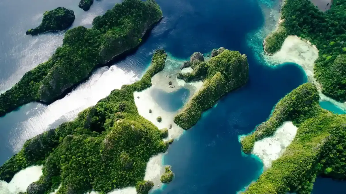 Aerial view of forested islets in Raja Ampat