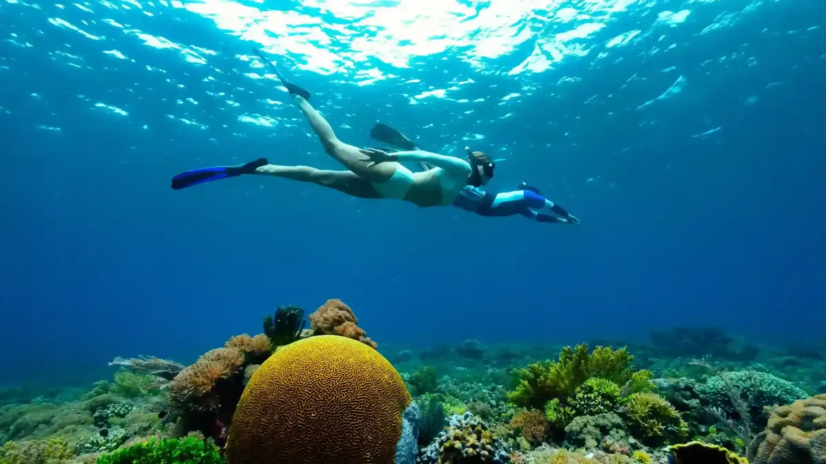 Snorkeller gliding over a coral reef in Raja Ampat